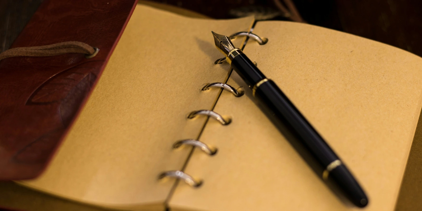 Études des Sols : Composition, Formation et Utilisations Agricoles