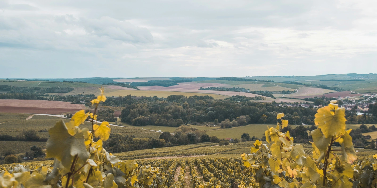 Les Ressources Géothermiques : Une Source d'Énergie Durable