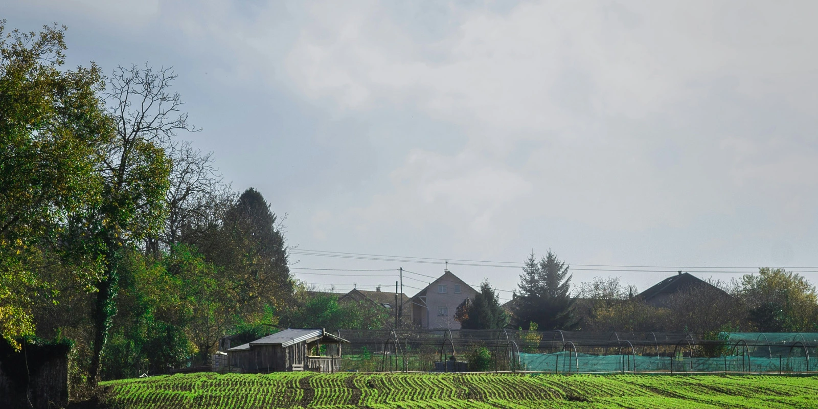 Océanographie : Études des Mers et Océans, Courants et Écosystèmes