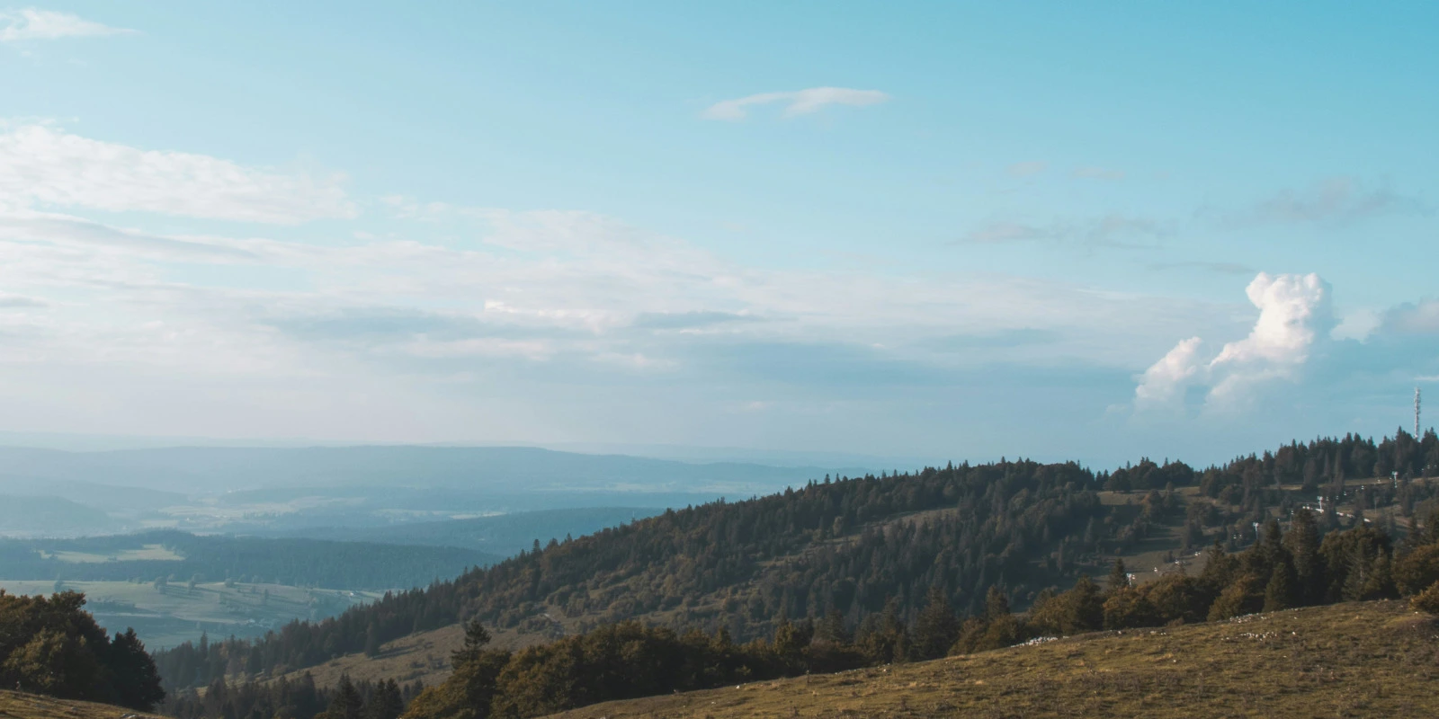 Options et Spécialisations en Licence ST (Sciences de la Terre)