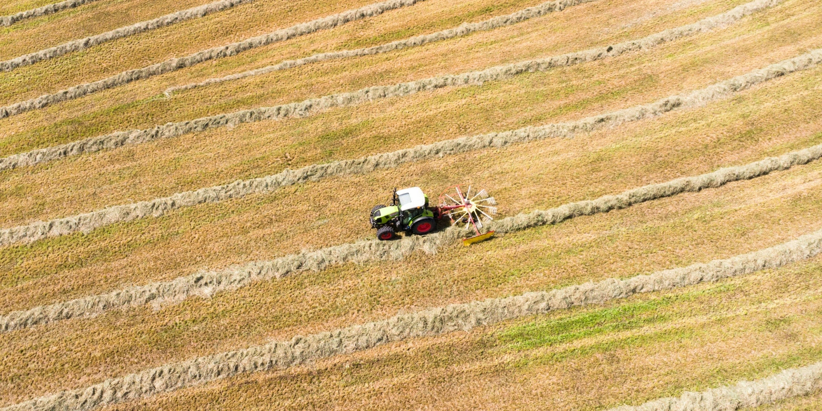 Poursuite d'Études après une Licence ST (Sciences de la Terre)