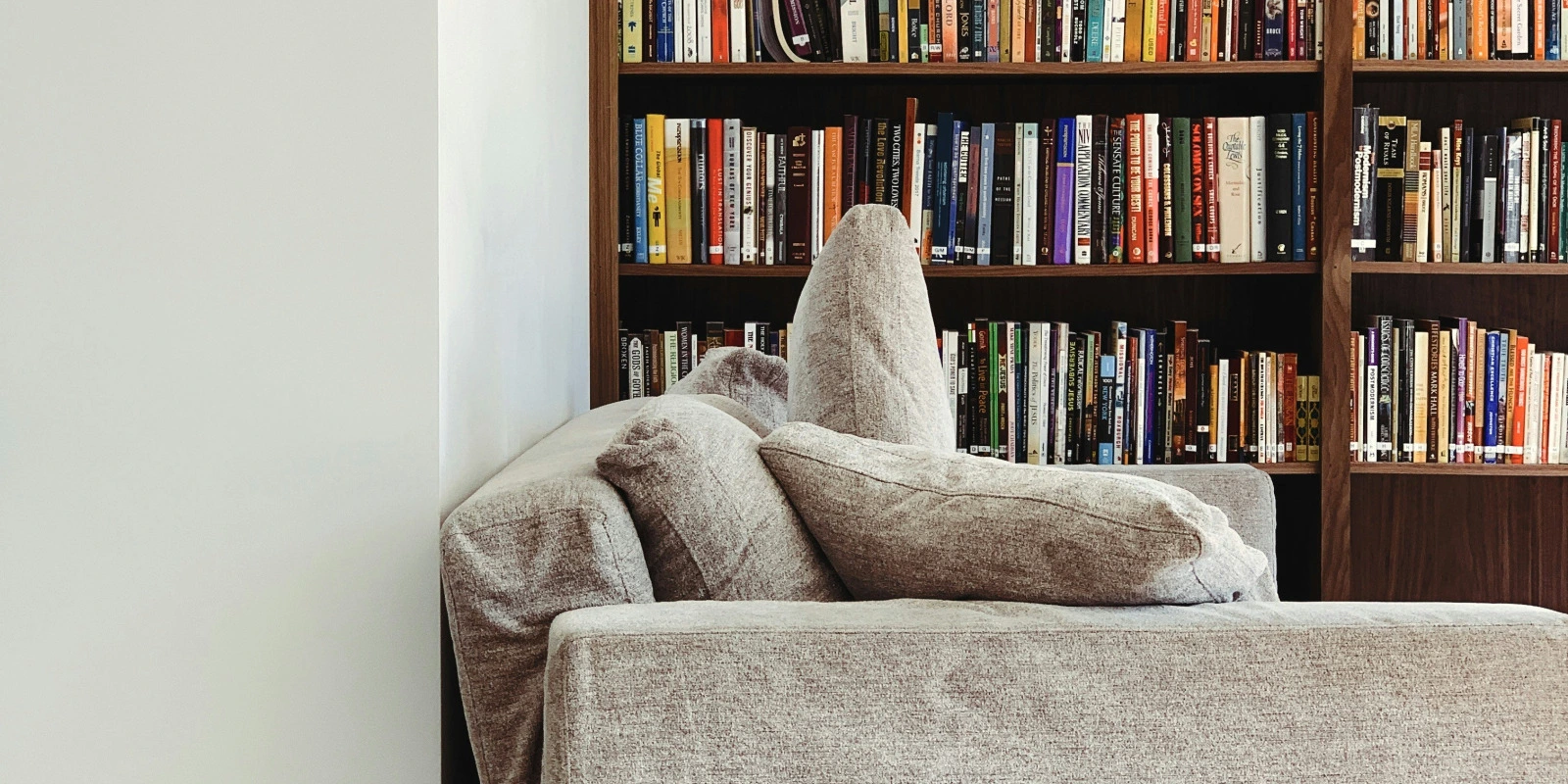 Programme Licence Sciences de la Terre à La Rochelle